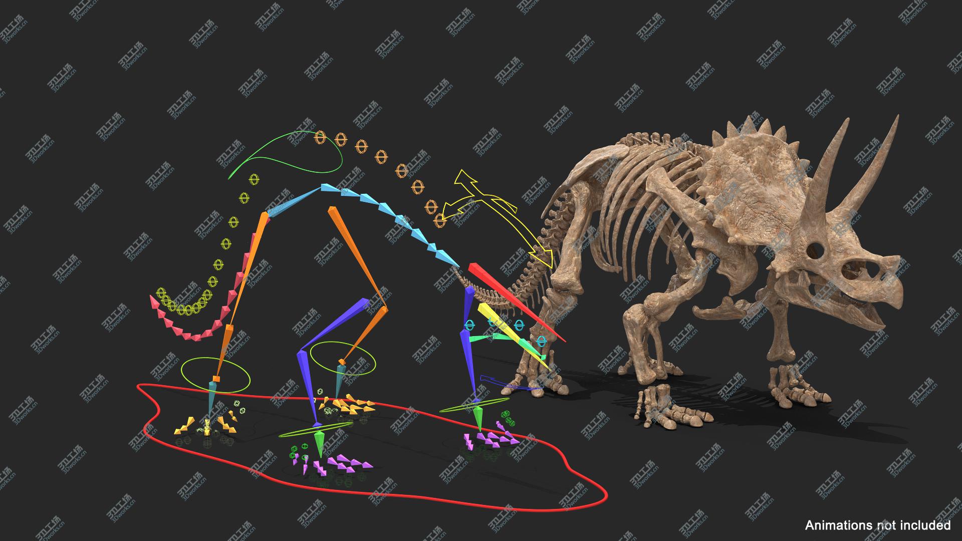images/goods_img/202104093/3D Triceratops Skeleton Fossil Rigged/4.jpg